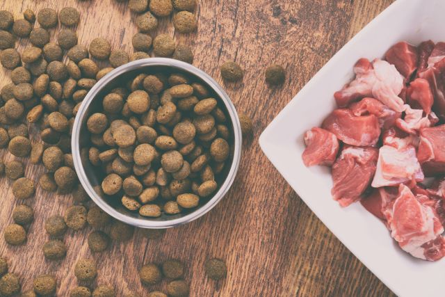dog food